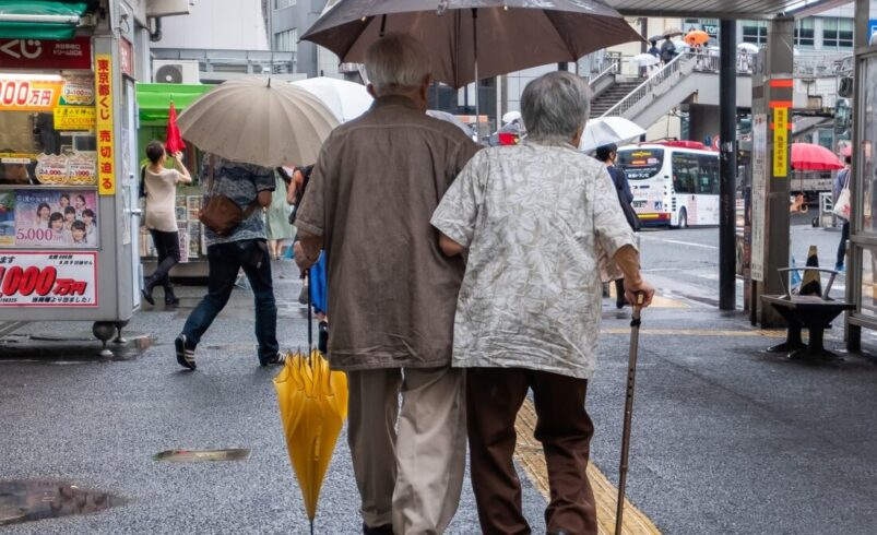 Pension Insurance in Japan: A Comprehensive Guide to Securing Your Financial Future Today 2025